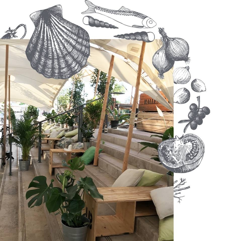 Les Halles de la Major - Restaurant Marseille - meilleur resto Marseille